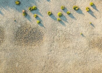 Oman – destinatie de vacanta exotica