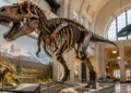 Muzee de istorie naturală din America de Nord: ghid cultural pentru călători pasionați de istorie și patrimoniu